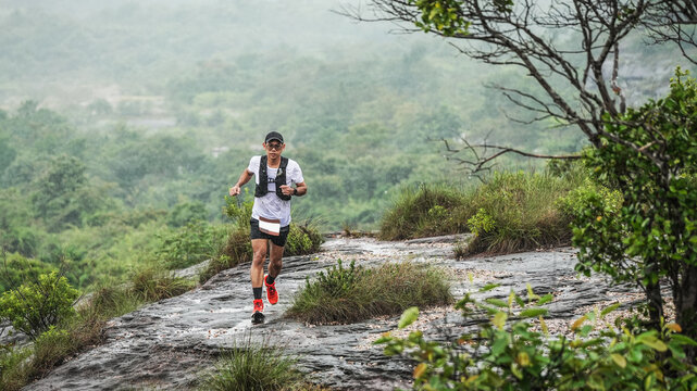 Trail runner crossing a rocky mountain trail in the rain surrounded by lush green forest