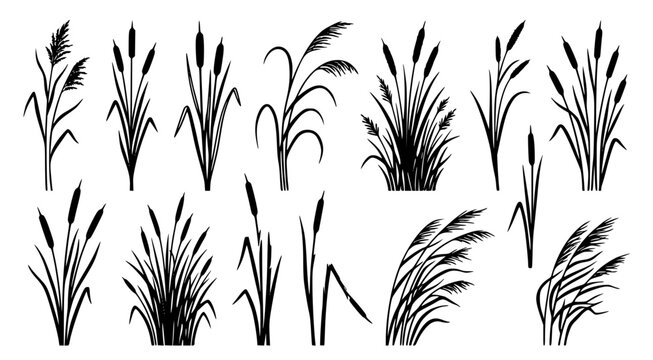 Set of black silhouette cattail plants and reeds for wetland and aquatic landscape design