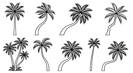 Fototapeta premium Collection of palm tree silhouettes in classic black outline vector style for tropical beach or vacation themed graphic design projects