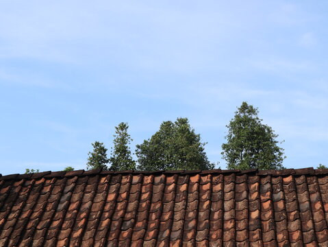 Traditional Javanese Joglo house roof covered with aged clay tiles, with tall green trees and blue sky in a rural village in Java, Indonesia.