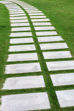 Grey stepping stones lined up in the garden.