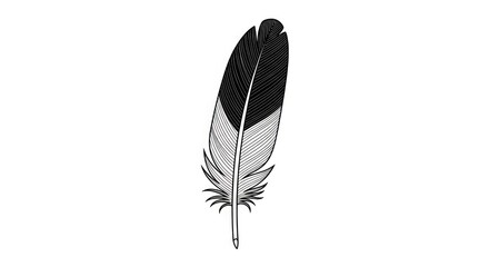 Detailed black and white feather illustration. © Bakso