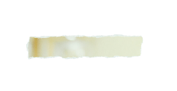 piece of blank beige paper texture background torn and ripped on transparent background. document frame design