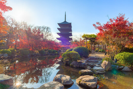 Toji (To-ji) Temple, Historic Buddhist Landmark Featuring the Iconic Five-Story Pagoda in Kyoto, Japan