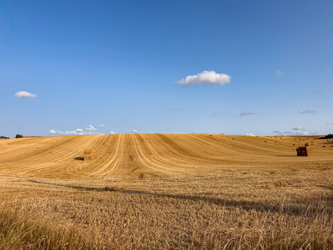 Golden harvested wheat field with hay bales under blue sky in Wissant, France