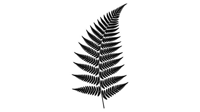 Minimalist black silver fern leaf silhouette, botanical New Zealand symbol, elegant fern frond icon isolated on white background