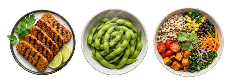 Savory plant based meal bowls with grilled tempeh edamame and vibrant vegetables for a healthy lifestyle