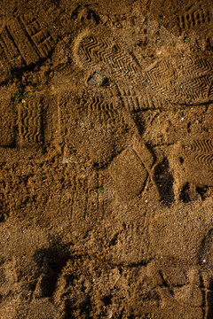 Footprints in sand show activity on beach during sunny day
