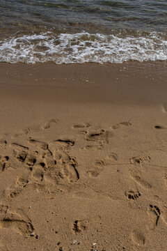 Footprints on sandy beach near the ocean during a sunny day
