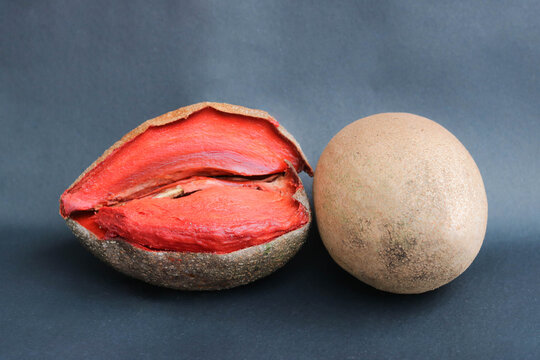 Close Up Video of Ripe Mamey Sapote with Vibrant Red Flesh on Dark Background
