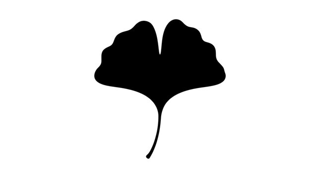 Ginkgo biloba leaf silhouette, black botanical foliage icon on white background, minimalist ginkgo leaf shape for logo design