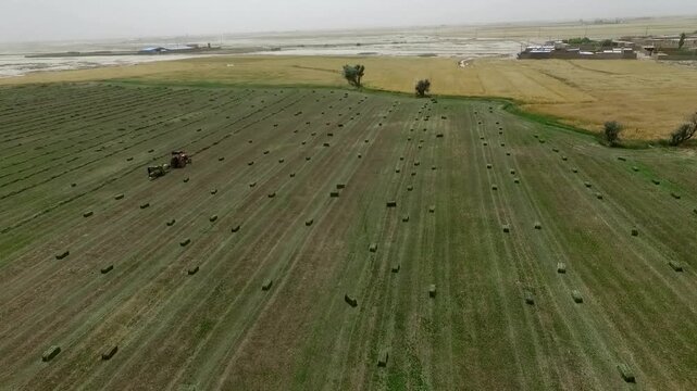 Stunning aerial panorama of large agricultural farm with multiple activity zones and natural rural beauty during farming season.