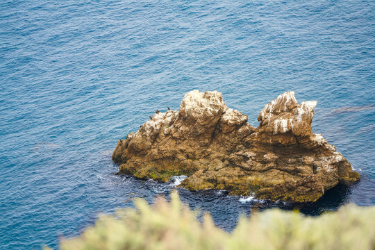 View from above of a weathered sea stack topped with resting cormorants in rippled blue Pacific water below the cliffs of Santa Cruz Island, Channel Islands National Park