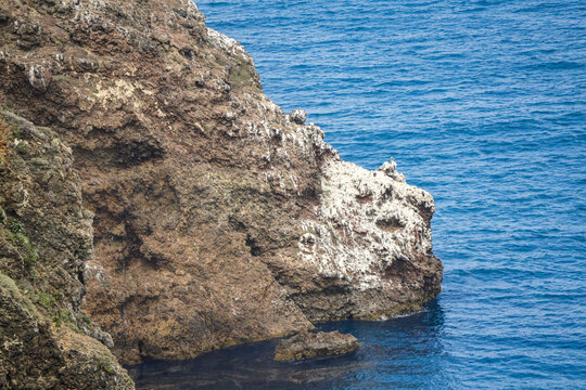 Guano-stained volcanic cliff face used by roosting seabirds rising from a dark rocky cove on the coastline of Santa Cruz Island, Channel Islands National Park, California