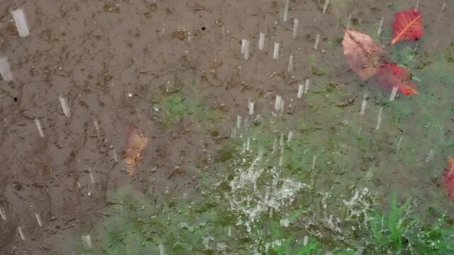 Heavy rain splashing over leafstrewn soil, red and brown leaves scatter as puddles ripple, textured ground and bursting droplets create nostalgic parkedge atmosphere, vivid seasonal contrast