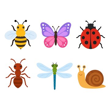 Colorful cartoon insects and bugs set isolated on white background for kids education and design