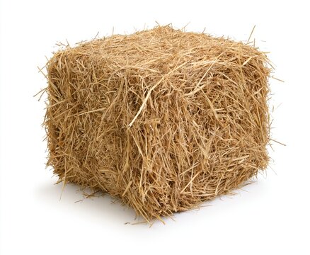 Hay bale of dry golden straw for agriculture farming and farm animal fodder feed