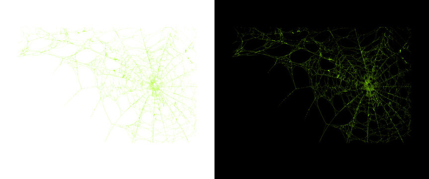 Spooky green spiderweb on black and white backgrounds, creepy spider web graphic elements, Halloween design assets