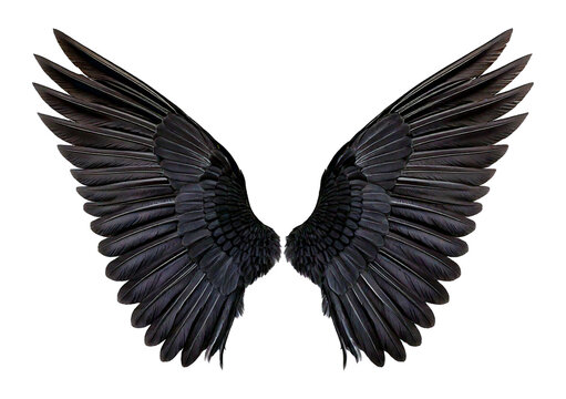 Pair of black wings isolated on a transparent or white background