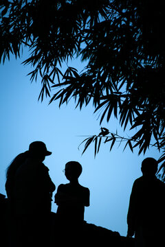 Silhouetted figures communicating under bamboo branches against a blue sky - vertical