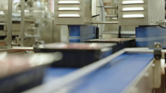 Plastic trays of minced beef travel along a blue conveyor through an automated packaging unit in a modern meat plant.