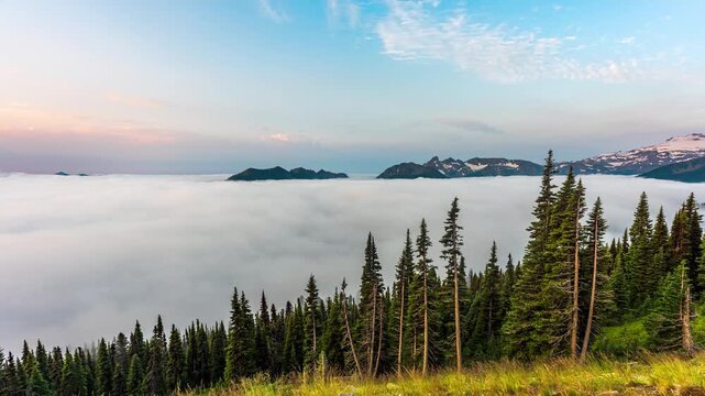Dense low stratus pours through the basin while jagged summits and lingering snowfields stand clear above the inversion. Warm first light rakes a ridge of subalpine fir. Locked off 4K time lapse.