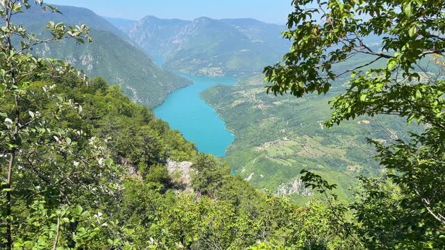 A tilt-up shot reveals turquoise Perucac Lake from Banjska Stena on Tara Mountain, framed by leafy branches, rocky slopes and a forested canyon beneath a clear blue sky.