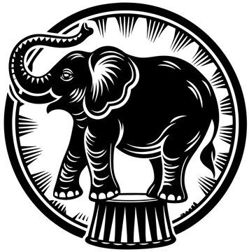 elephant vector illustration