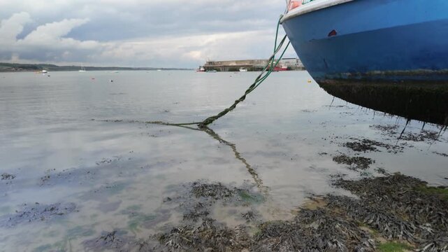 Excess seaweed accumulation next to fisherman boat at Skerries harbour