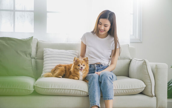 Asian beautiful young lady woman holding dog on sofa living room. Pet dog lover spend leisure time at home. Portrait of cheerful female owner smile on cozy sofa couch playing with best friend dog.