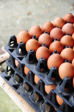 Stack of black plastic egg trays filled with fresh raw chicken eggs at a local market