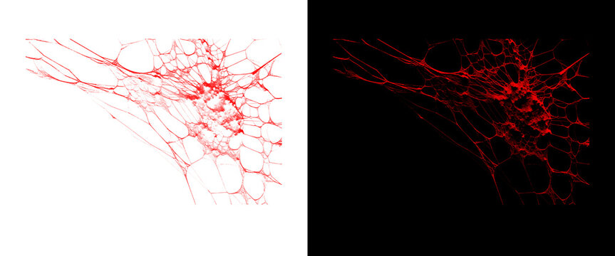 Abstract red neural network on white and black backgrounds, microscopic blood vessels texture, scientific cell structure concept