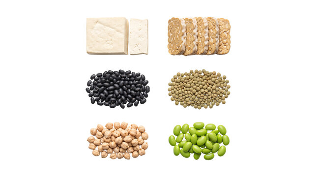 Plant-based soy protein collection, fermented tempeh and tofu blocks, assorted legumes with edamame and chickpeas for vegan diets isolated PNG with Transparent Background