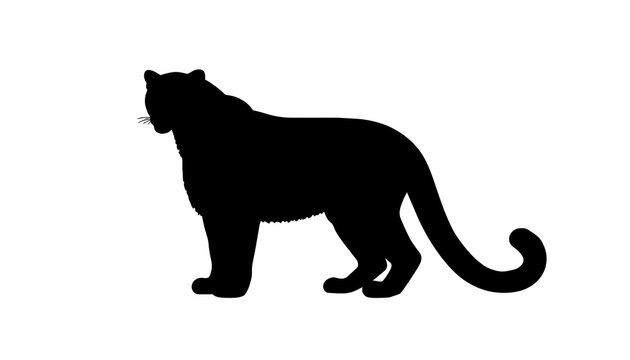 Solid black silhouette of a snow leopard standing isolated on a white background