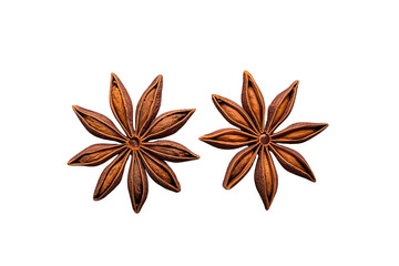 Fototapeta premium Two brown star anise spice pods