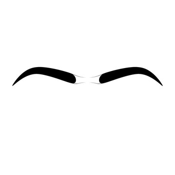 Hand drawn sketch of one continuous subtle monobrow isolated on white background.