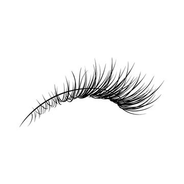 Line art illustration of wispy natural upper eyelashes, side profile view. Procreate brush asset.