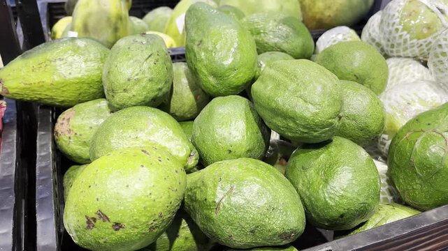 Close up pile of organic raw avocado fruits for sale