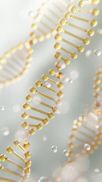 3D vertical animation of glowing golden DNA helices floating in a clean scientific environment, representing genetics, biotechnology, molecular biology, medical research, and innovation.