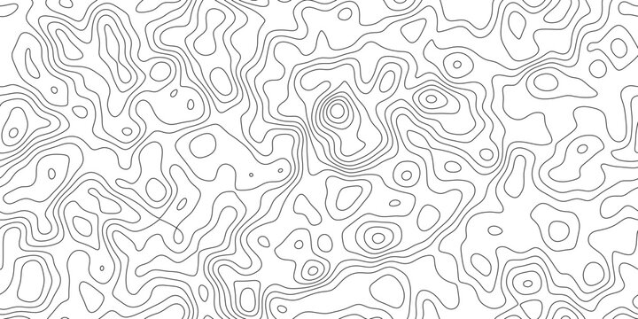 Elegant contour map line pattern background with abstract elevation pattern, flowing isoline pattern with natural spacing, for brochure, cover and digital design.