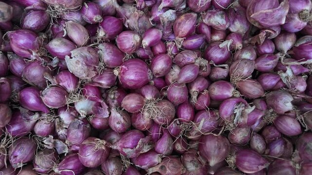 Organic Shallots Falling in High-Speed Capture , slow motion