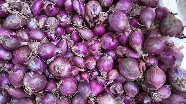Small Red Onions Dropping for Food Concept , slow motion