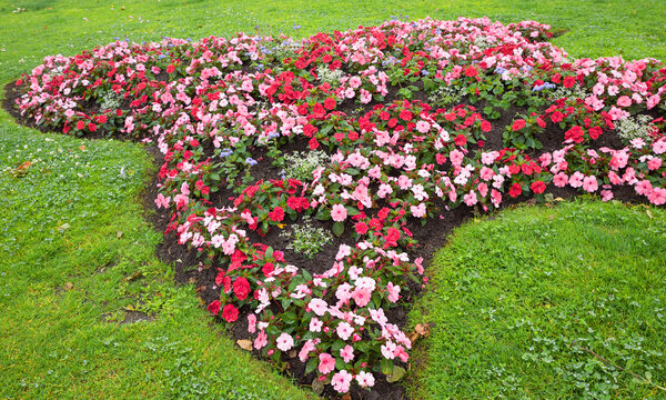green lawn and flower bed with red and pink impatiens flowers
