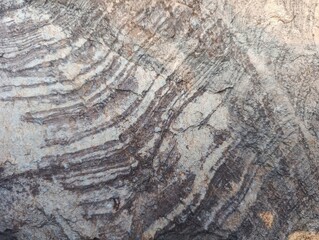 Naklejka premium Natural rock surface with layered mineral patterns, rough weathered texture, and earthy gray and brown tones. Organic stone background for architecture, construction and interior design