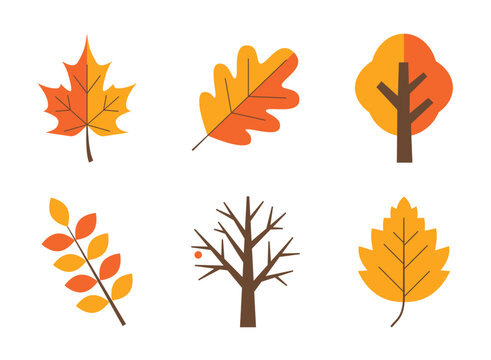Autumn leaves and fall trees collection vector.