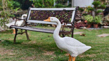 Close-up of a white goose garden ornament on green grass with a blurred vintage bench in the background. © Inus Pinus
