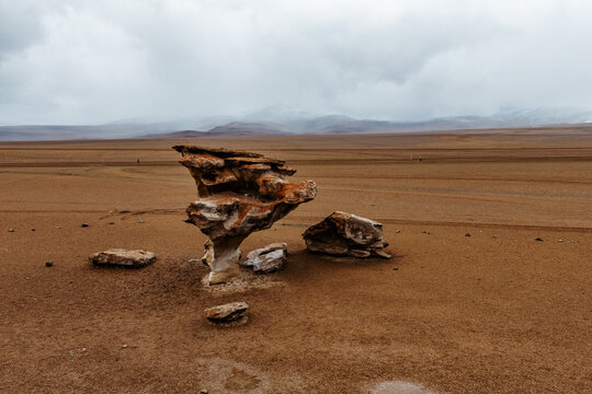 Eroded rock formation in the Siloli Desert, Sud L&iacute;pez, Potos&iacute;, Bolivia
