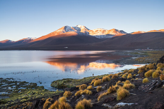 Volcano glowing at sunrise above a mirror altiplano lagoon, Laguna Colorada, Sud L&iacute;pez, Potos&iacute;, Bolivia