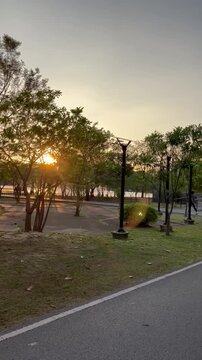 Warm sunset light shining through trees in a peaceful park