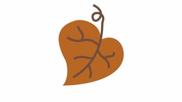 Brown heart-shaped leaf with curly vine stem cartoon animation with autumn heart leaf icon isolated on an alpha channel for Thanksgiving design element concept.